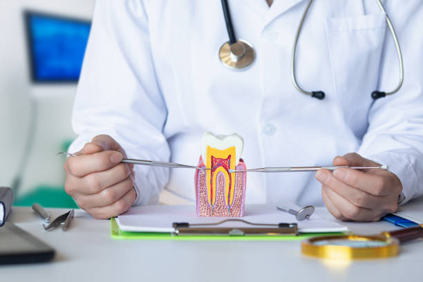 Best Emergency Care for Gum Disease in Louisa, KY